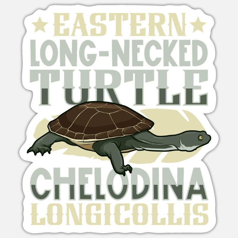 Tortue à dos plat - Sticker taille S (10 x 10 cm) - blanc mat