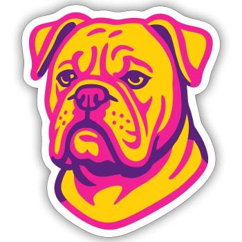 Boxer Hund Portrait - Sticker Größe S (10 x 10 cm) - Mattweiß - Vorne