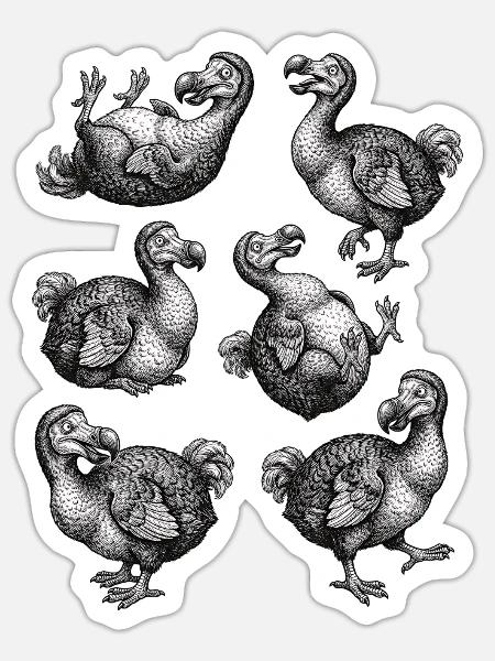Dodo Cute Animal for Kids Men Women - Sticker Größe S (10 x 10 cm) - Mattweiß