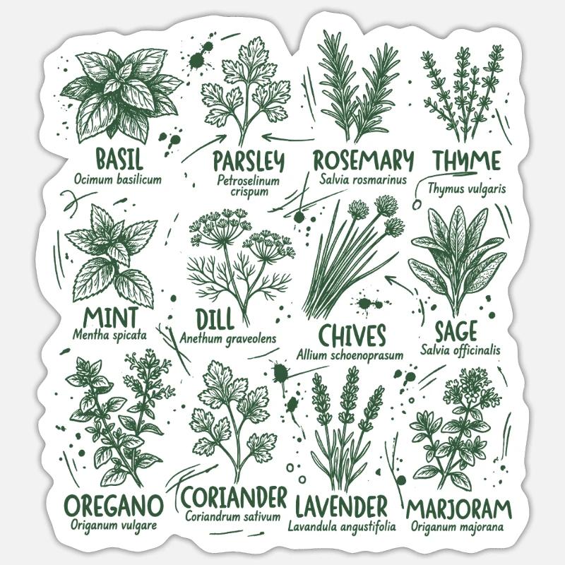 Herbs Botany Kitchen Basil Rosemary - Sticker size S (10 x 10 cm) - white matte