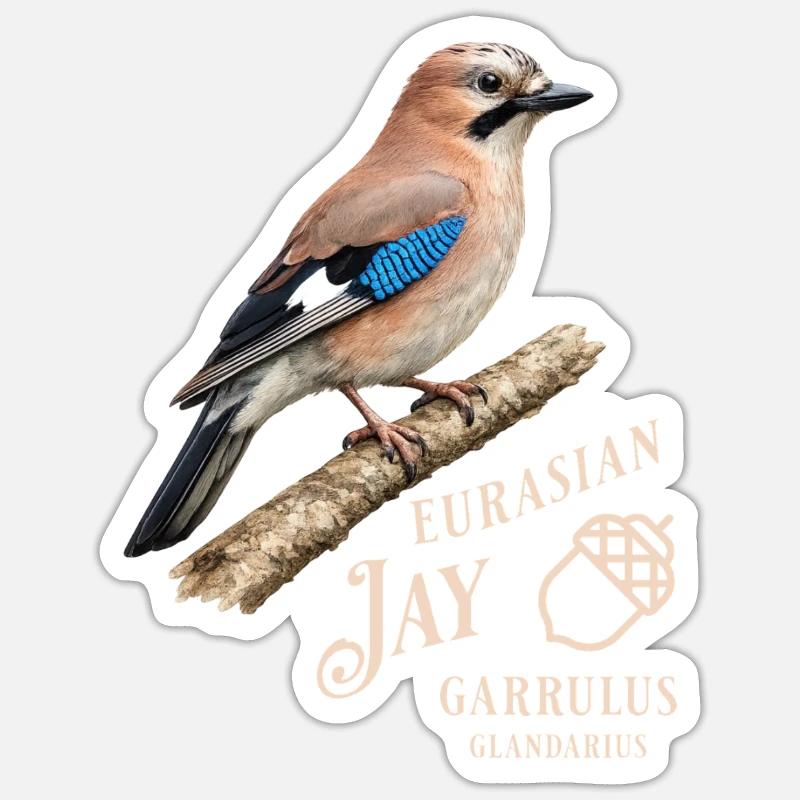 Eurasian Jay Eichelhäher Vogel Design - Sticker Größe S (10 x 10 cm) - Mattweiß