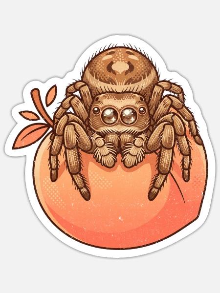 Pfirsich Springspinne Spinne - Sticker Größe S (10 x 10 cm) - Mattweiß