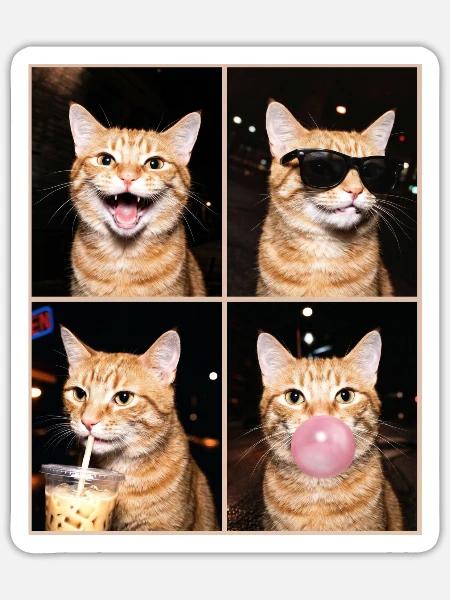 Katzen orange Tabby Katze - Sticker Größe S (10 x 10 cm) - Mattweiß
