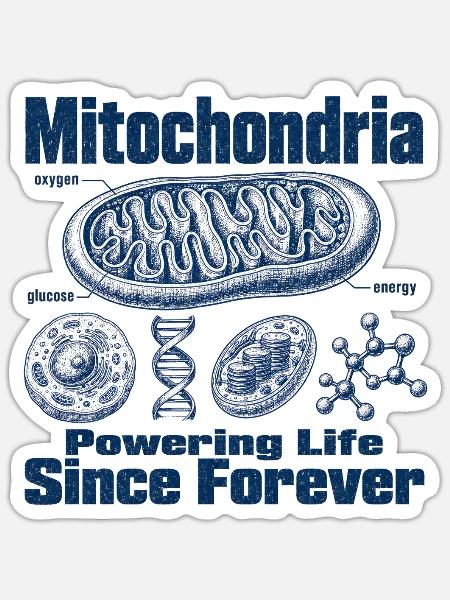 Mitochondrien Energie - Sticker Größe S (10 x 10 cm) - Mattweiß