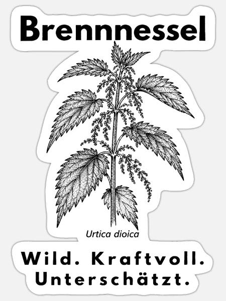 Brennnessel – Wild. Kraftvoll. Unterschätzt. - Sticker Größe S (10 x 10 cm) - Mattweiß