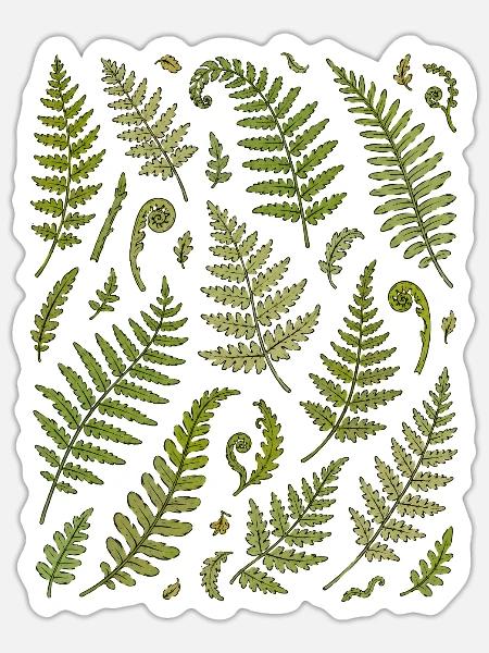 Farnblätter | Wald Botanik & Natur - Sticker Größe S (10 x 10 cm) - Mattweiß