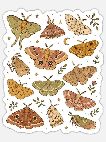 Nachtfalter | Motten & Naturkunde - Sticker Größe S (10 x 10 cm) - Mattweiß