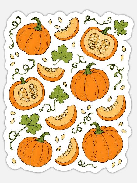 Kürbisse | Herbst Gemüse & Ernte - Sticker Größe S (10 x 10 cm) - Mattweiß