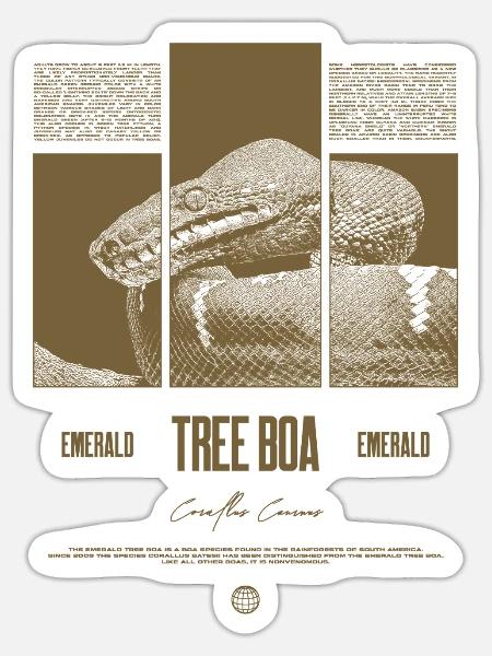 Smaragdbaumboa-Schlangenbesitzer und Reptilienhalter - Sticker Größe S (10 x 10 cm) - Mattweiß