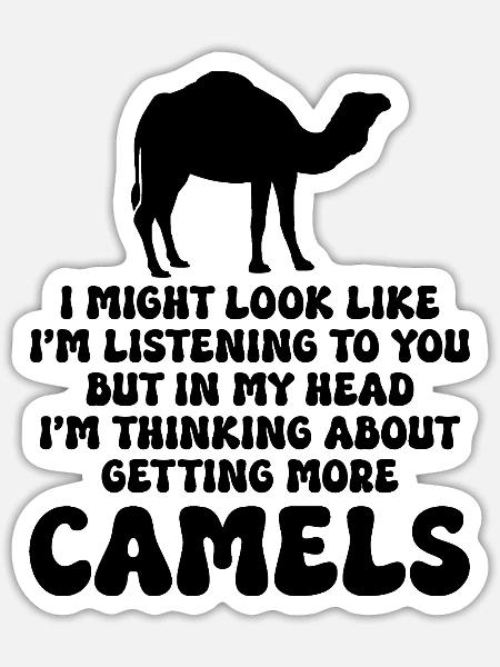 Kamel Humor Spruch - Sticker Größe S (10 x 10 cm) - Mattweiß