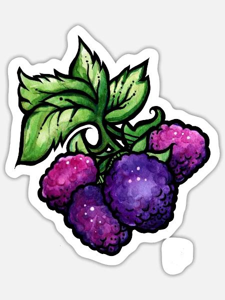 Aquarell-Himbeercluster - Sticker Größe S (10 x 10 cm) - Mattweiß
