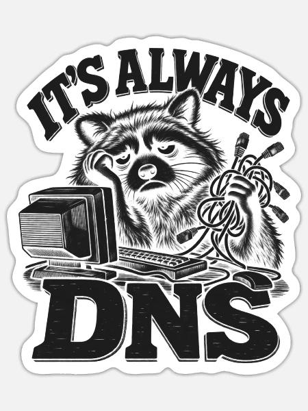 Raccoon DNS Always On - Sticker Größe S (10 x 10 cm) - Mattweiß