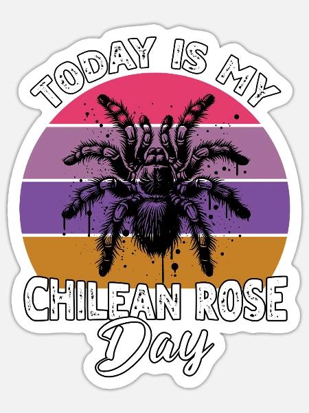 Chile Vogelspinne - Sticker Größe S (10 x 10 cm) - Mattweiß