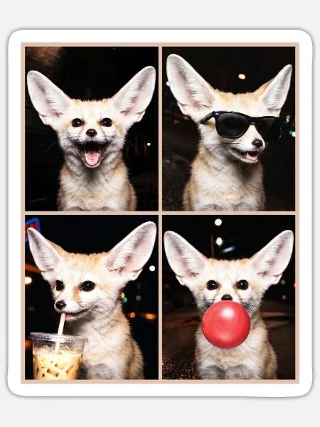 Wüstenfuchs Fennek - Sticker Größe S (10 x 10 cm) - Mattweiß