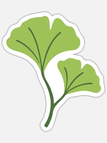 Ginkgo Pflanze Illustration Geschenkidee - Sticker Größe S (10 x 10 cm) - Mattweiß