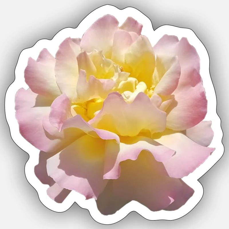 ROSE - Sticker taille S (10 x 10 cm) - blanc mat