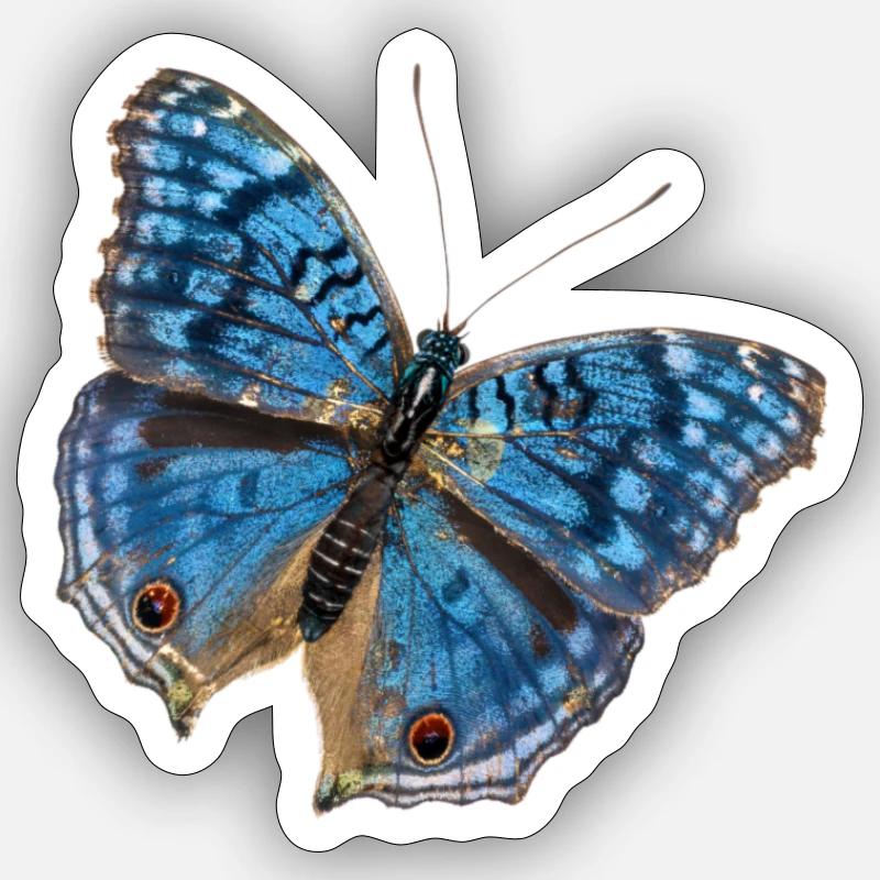 Blauer Schmetterling Sticker Größe S (10 x 10 cm)