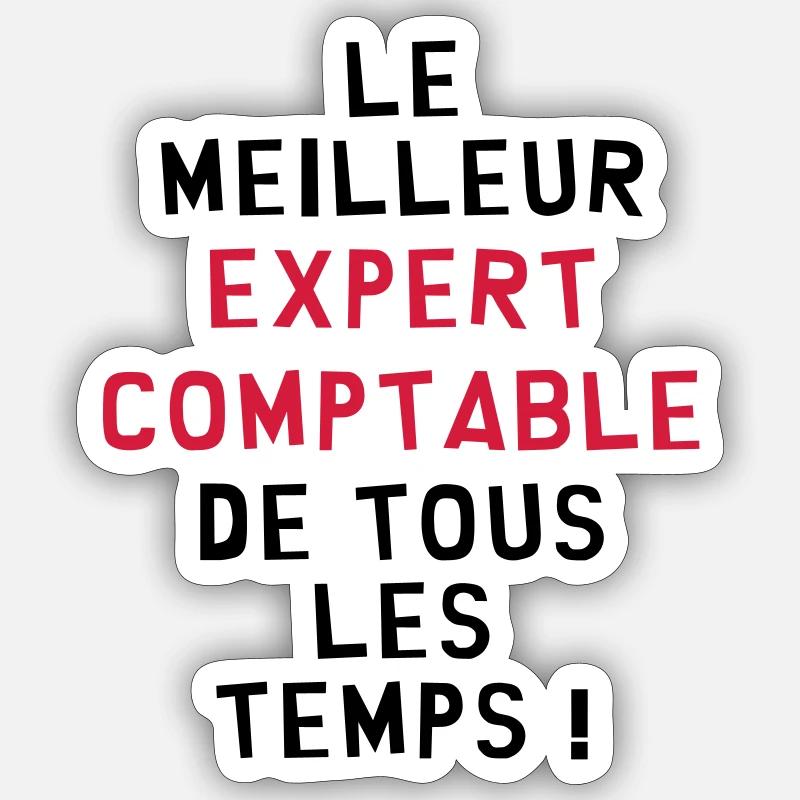 Expert Comptable / Comptabilité / Comptable / - Sticker taille S (10 x 10 cm) - blanc mat