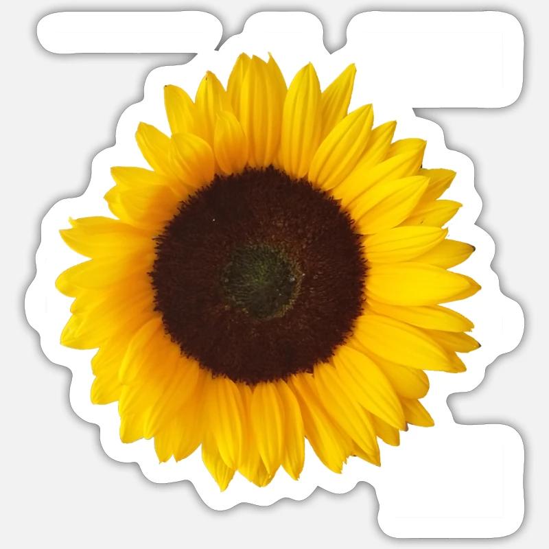 jaune tournesol - Sticker taille S (10 x 10 cm) - blanc mat