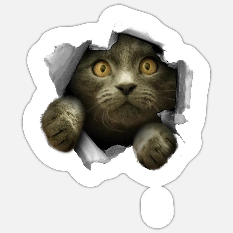 Chaton fêlé chat mignon - Sticker taille S (10 x 10 cm) - blanc mat