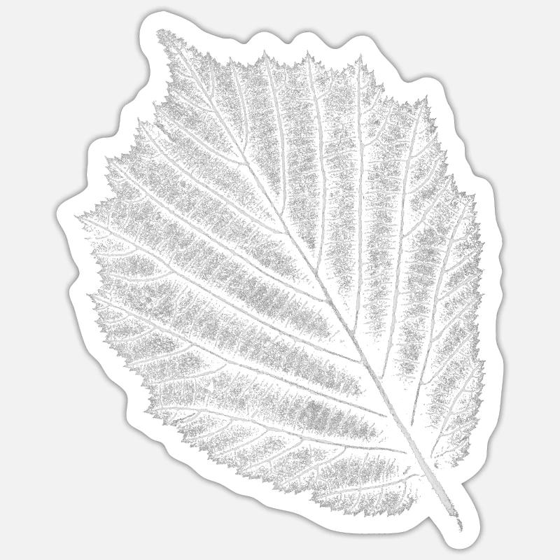 Noisetier / Feuille - Noisette - Sticker taille S (10 x 10 cm) - blanc mat
