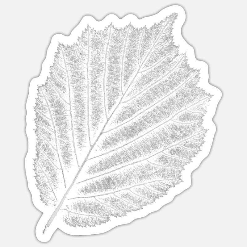 Blatt / Hasel / Haselnuss - Sticker Größe S (10 x 10 cm) - Mattweiß