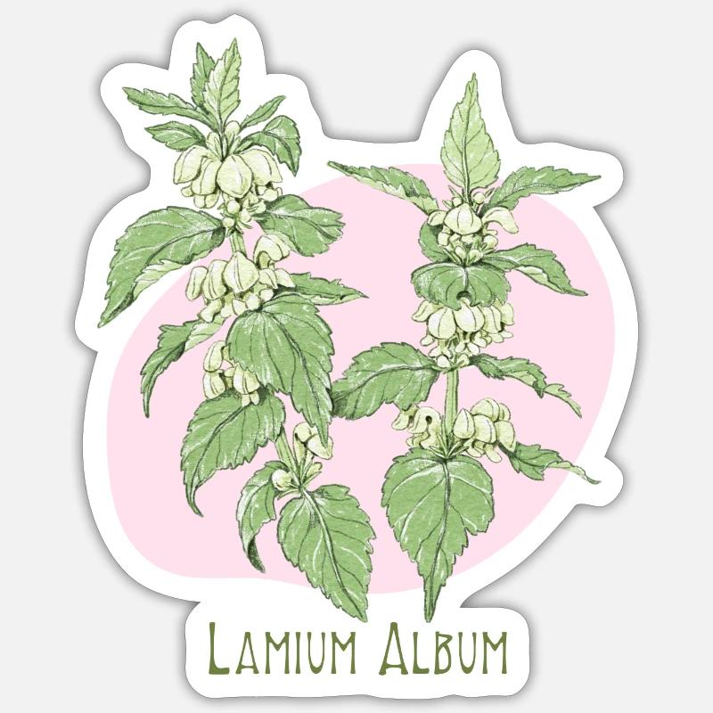 Light white botanical drawing - Sticker size S (10 x 10 cm) - white matte