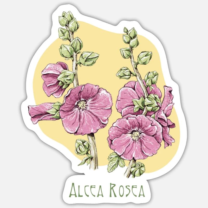 Mallow pink botanical drawing - Sticker size S (10 x 10 cm) - white matte