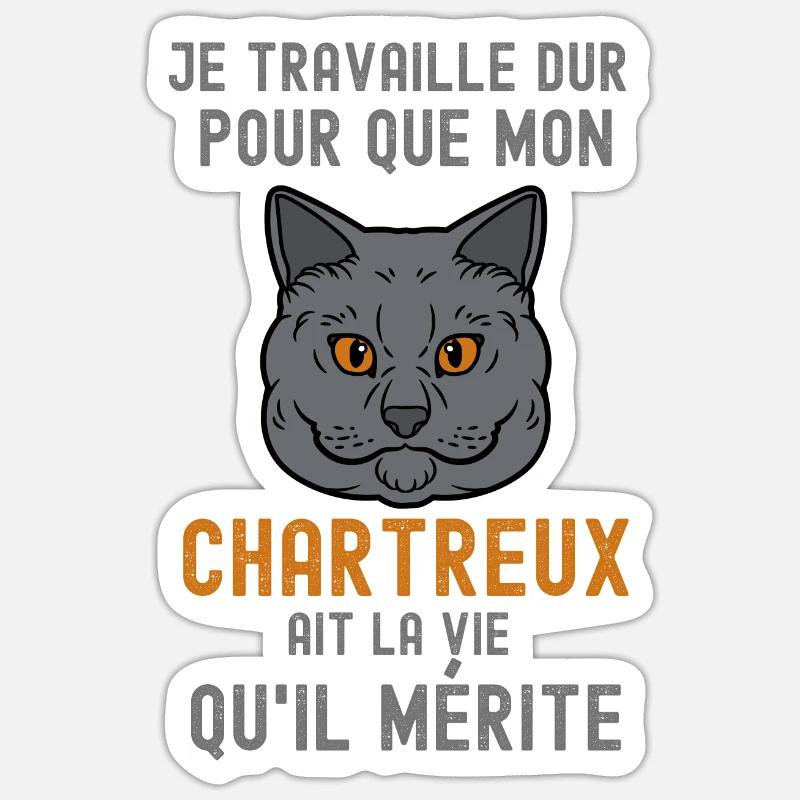 Chat chartreux - Sticker taille S (10 x 10 cm) - blanc mat