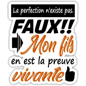 Mon fils la perfection | Humour | Cadeau - Sticker taille S (10 x 10 cm) - blanc mat - Devant