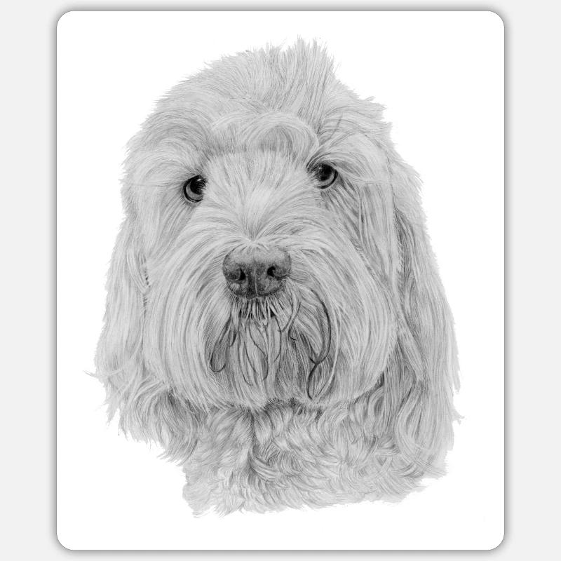 Autocollant Bichon Havanaise - Sticker taille S (10 x 10 cm) - blanc mat