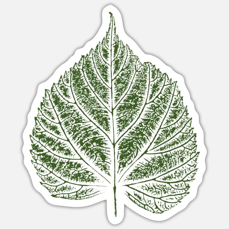 Linden leaf / Linden leaf Sticker size S (10 x 10 cm)