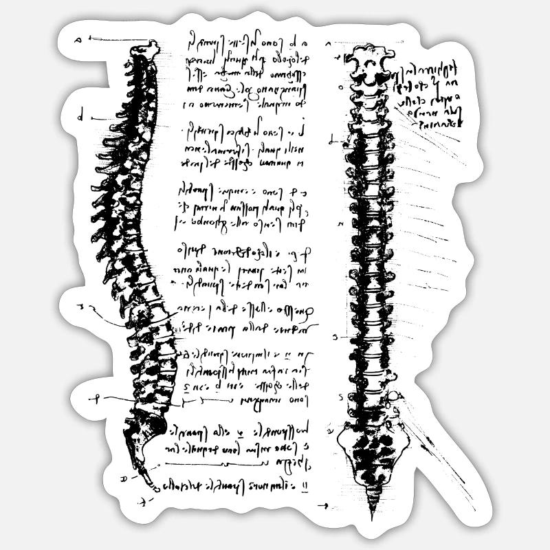 da Vinci spine black - Sticker size S (10 x 10 cm) - white matte