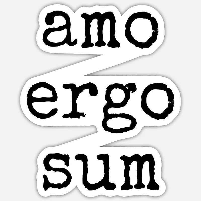 amo ergo sum - ich liebe also bin ich -Spruch - Sticker Größe S (10 x 10 cm) - Mattweiß