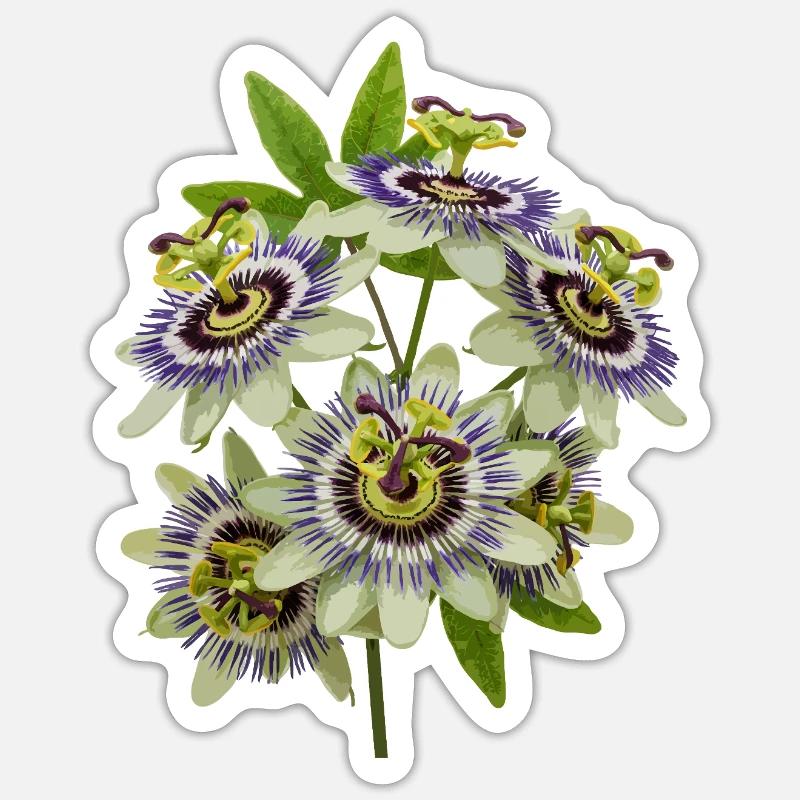 Passionflower - Sticker size S (10 x 10 cm) - white matte