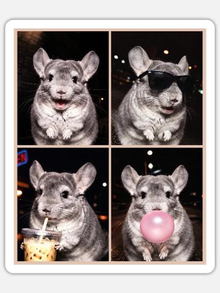 Chinchillas Chinchilla - Sticker Größe S (10 x 10 cm) - Mattweiß