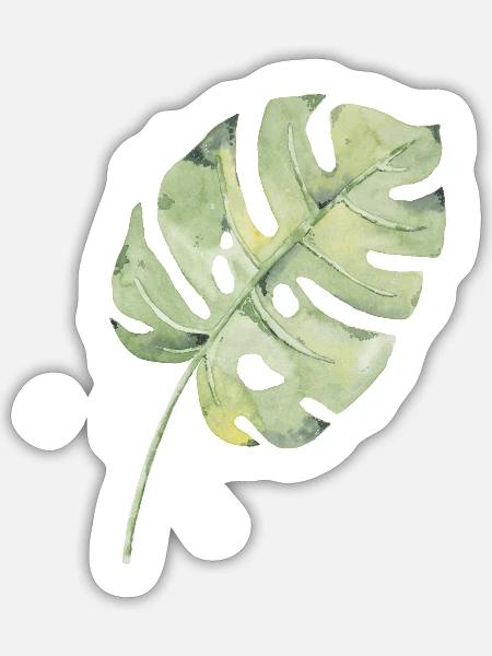 Monstera Blatt Aquarell Grün - Sticker Größe S (10 x 10 cm) - Mattweiß
