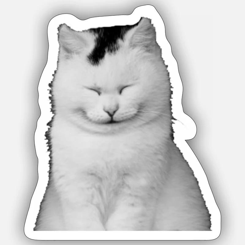 Chaton blanc rit - Sticker taille S (10 x 10 cm) - blanc mat