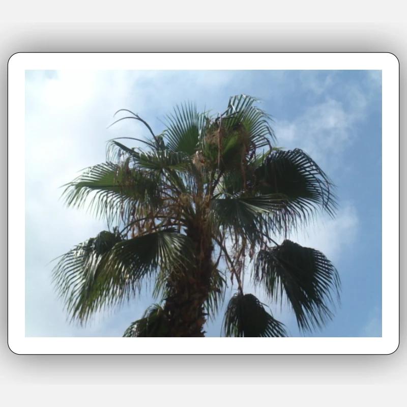 Palme Sticker Größe S (10 x 10 cm)