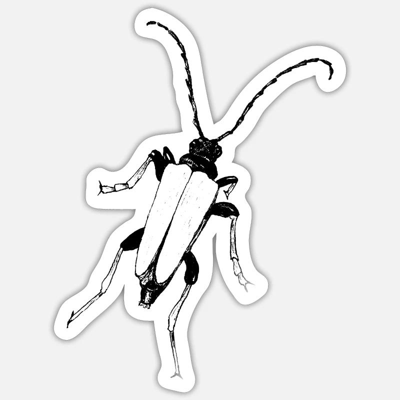 Fascinant Paracorymbia maculicornis - Sticker taille S (10 x 10 cm) - blanc brillant