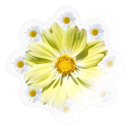 Kosmee Blume mit Margeriten florales Blumenmuster - Sticker