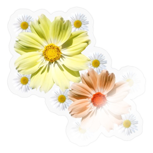 Kosmee mit Margeriten Blüte florales Blumenmuster - Sticker