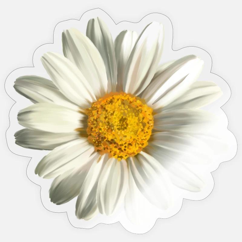 chamomile - Sticker size S (10 x 10 cm) - transparent glossy