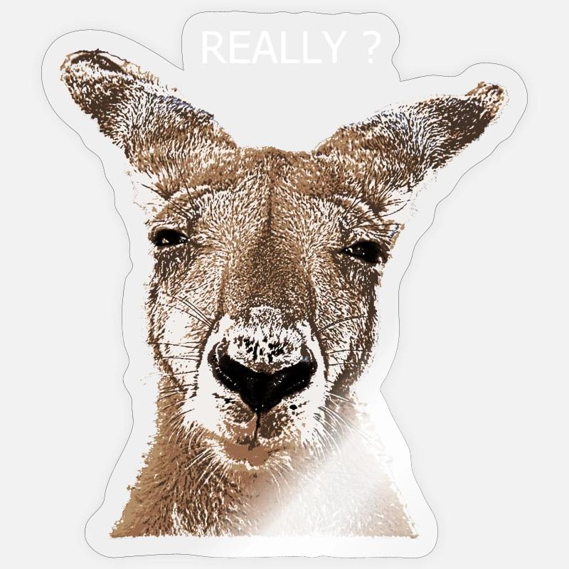 Känguru really? - Sticker Größe S (10 x 10 cm) - Transparent glänzend