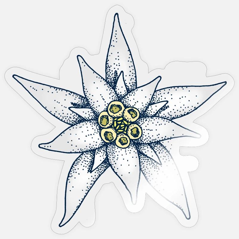 Fleur alpine d’Edelweiss - Sticker taille S (10 x 10 cm) - brillant transparent