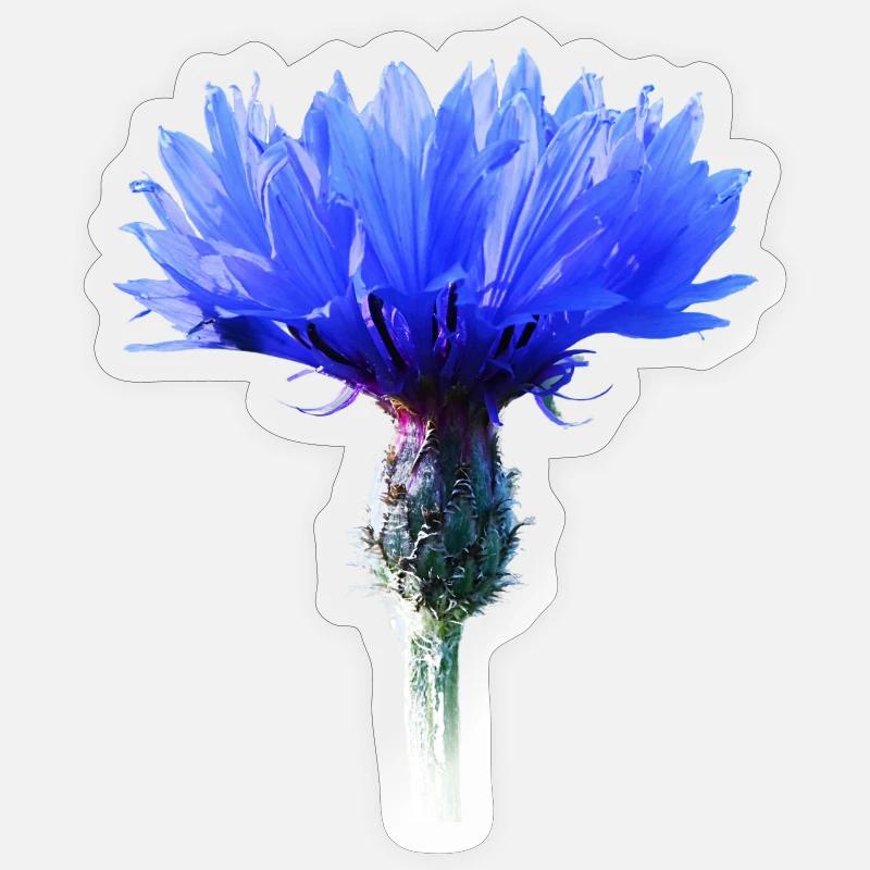 Cornflower - Sticker size S (10 x 10 cm) - transparent glossy