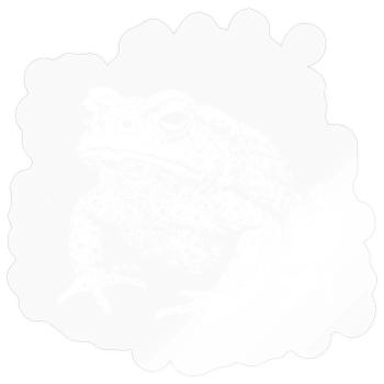 Toad - Sticker size S (10 x 10 cm) - transparent glossy - Front