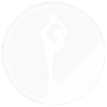 Eleganz auf Kufen - Sticker Größe S (10 x 10 cm) - Transparent glänzend - Vorne