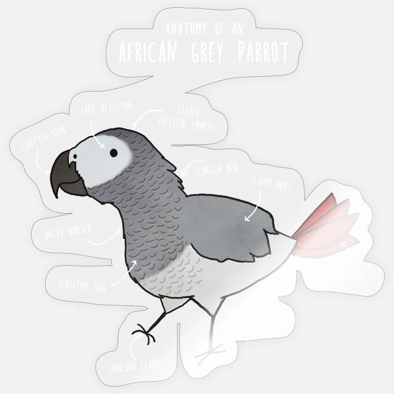 Anatomie du python royal - Sticker taille S (10 x 10 cm) - brillant transparent
