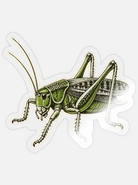Warzenbeißer Linolschnitt - Sticker Größe S (10 x 10 cm) - Transparent glänzend